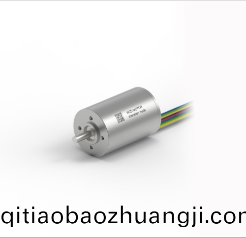 OT-ECS 2232無(wu)槽(cao)無刷(shua)直(zhi)流電機