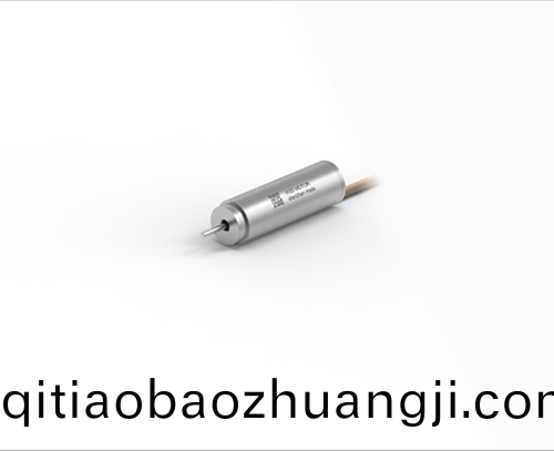 OT-ECS 0824無槽無(wu)刷直流電動機(ji)