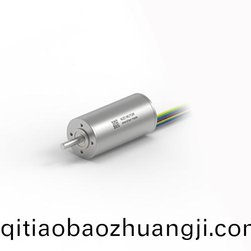 OT-ECS 3260無槽無(wu)刷(shua)直流電(dian)機