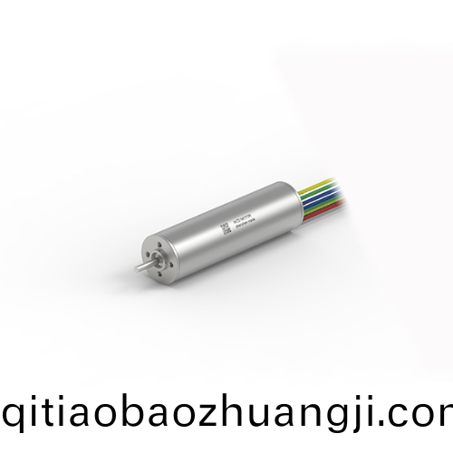 OT-ECS1656無(wu)槽無(wu)刷電機