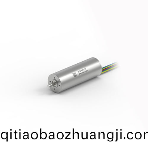 OT-ECS2263無槽無刷電(dian)機